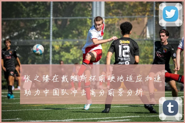 张之臻在戴维斯杯前硬地适应加速助力中国队冲击高分前景分析